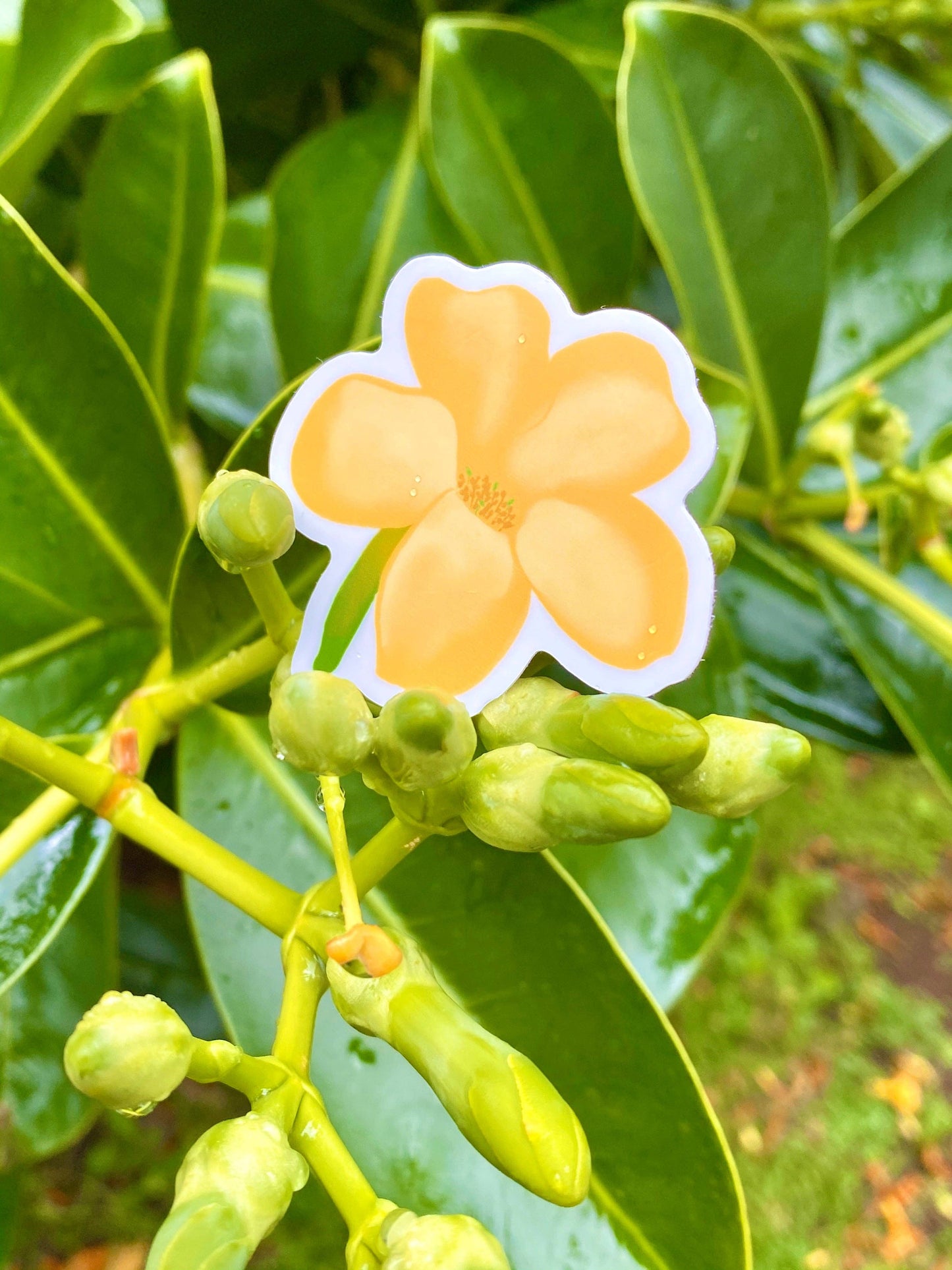 Puakenikeni - Small Sticker