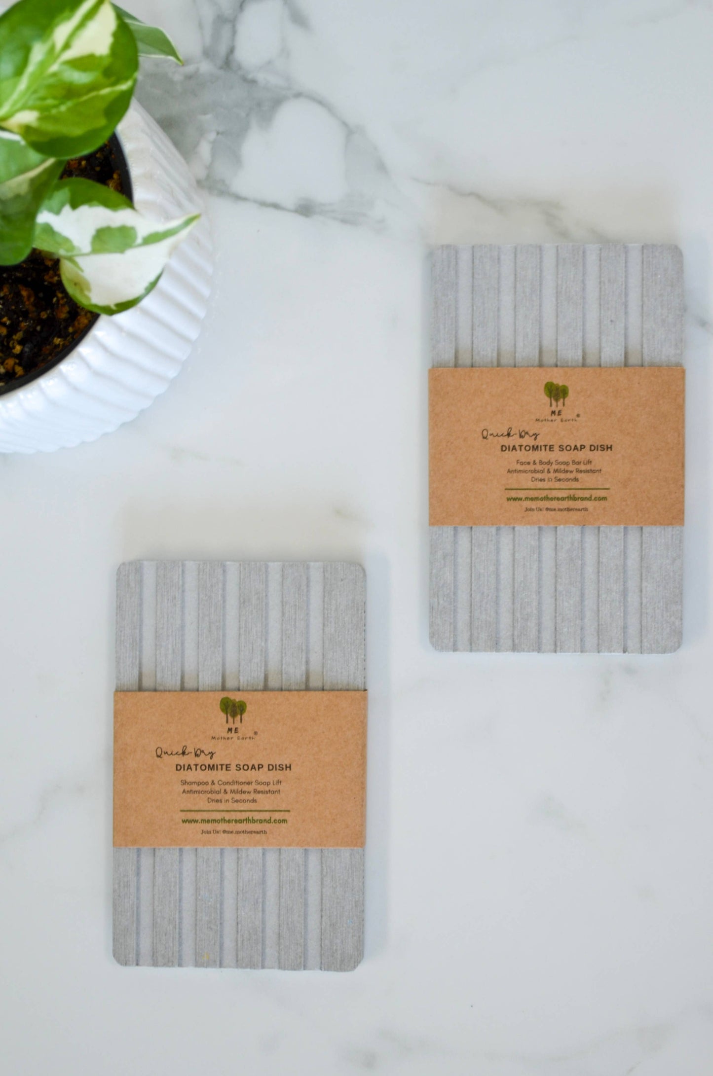 Diatomite Soap Dish