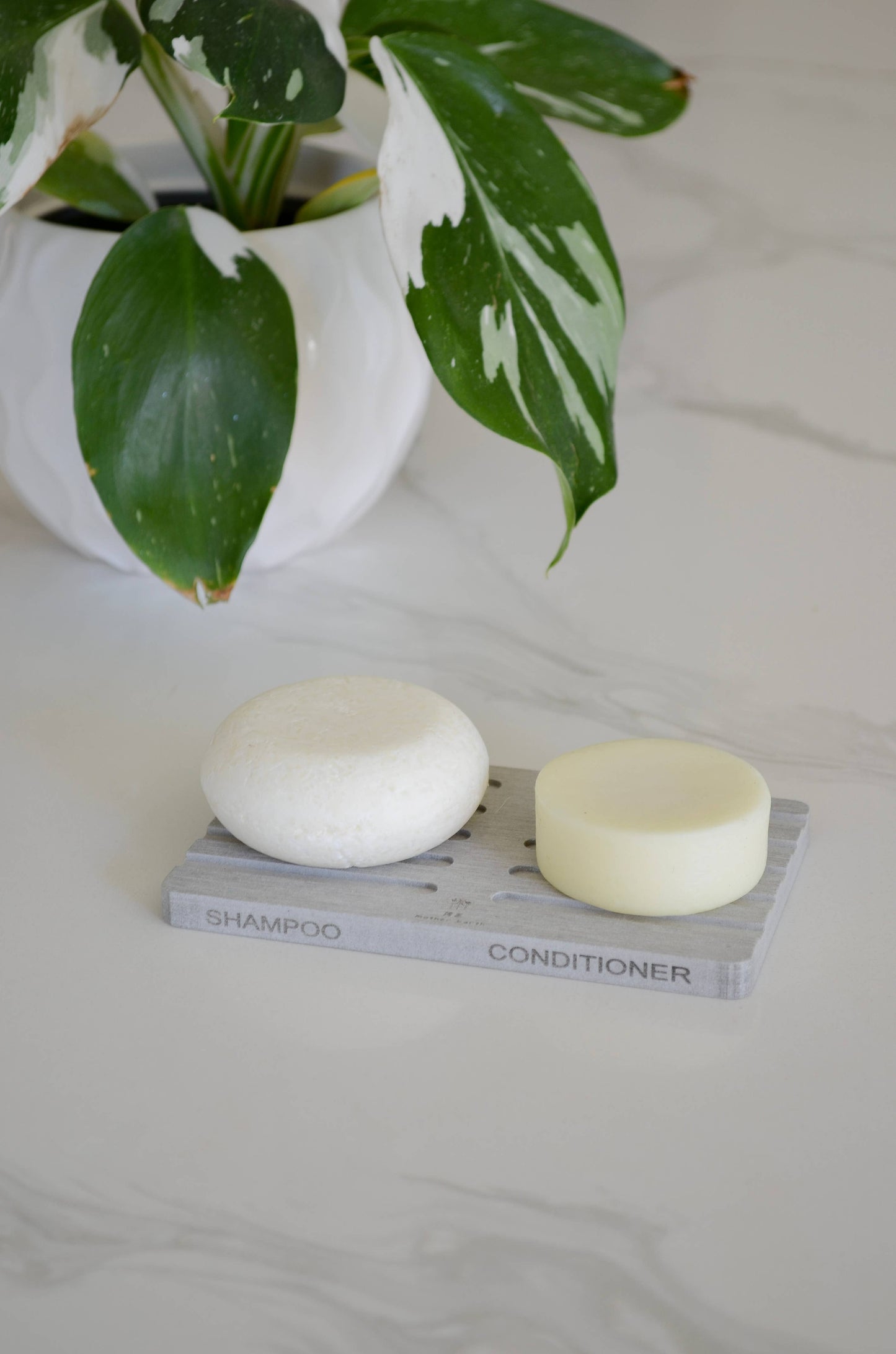 Diatomite Soap Dish
