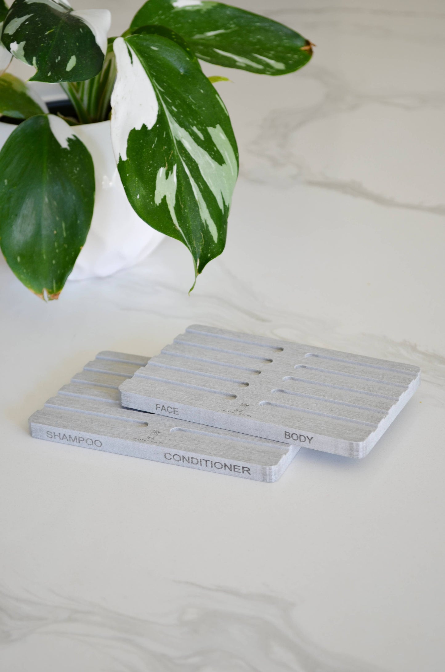 Diatomite Soap Dish