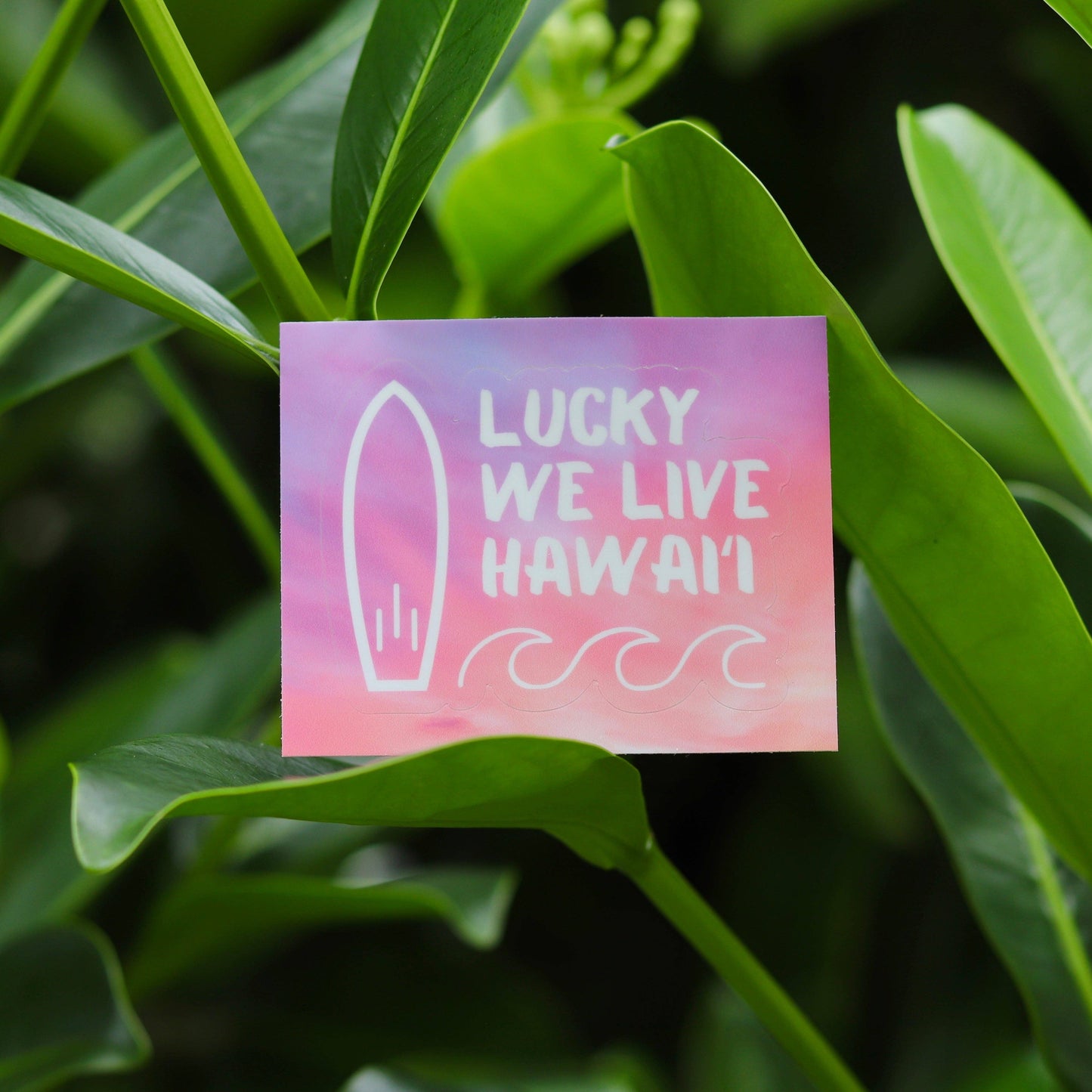 Lucky We Live Hawaiʻi Sticker
