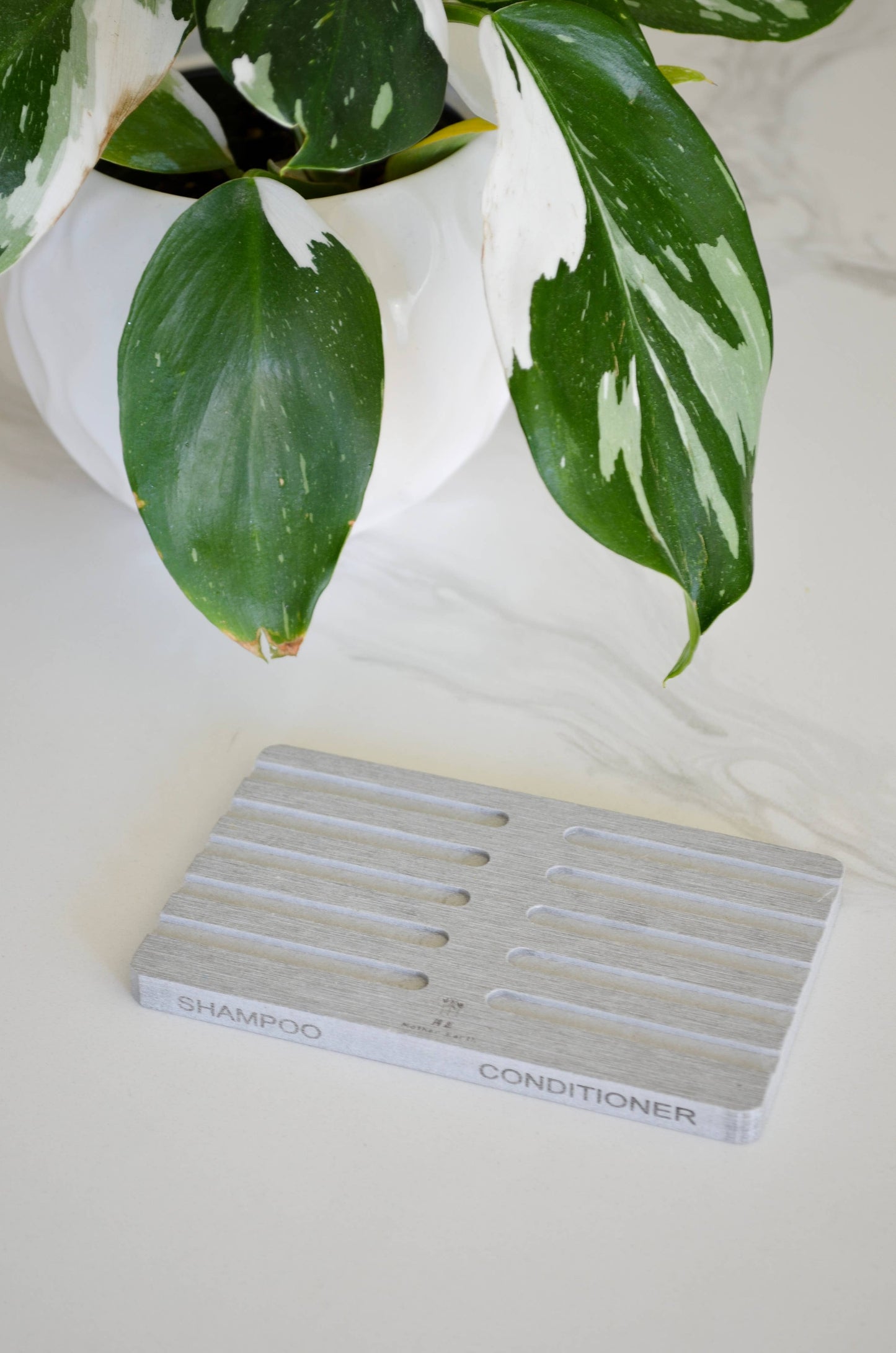 Diatomite Soap Dish