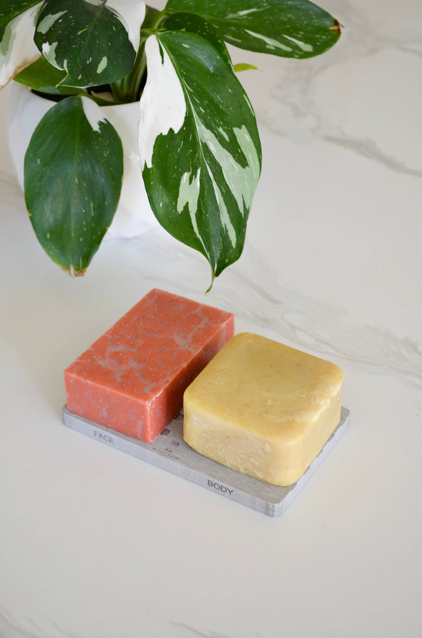 Diatomite Soap Dish