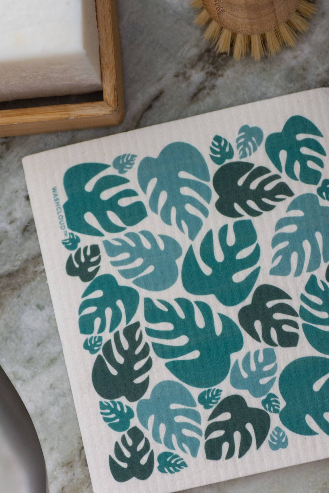WASHCLOUD® MONSTERA
