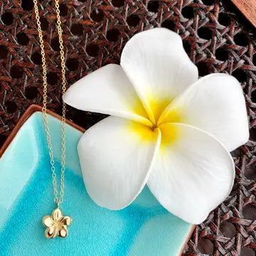Plumeria