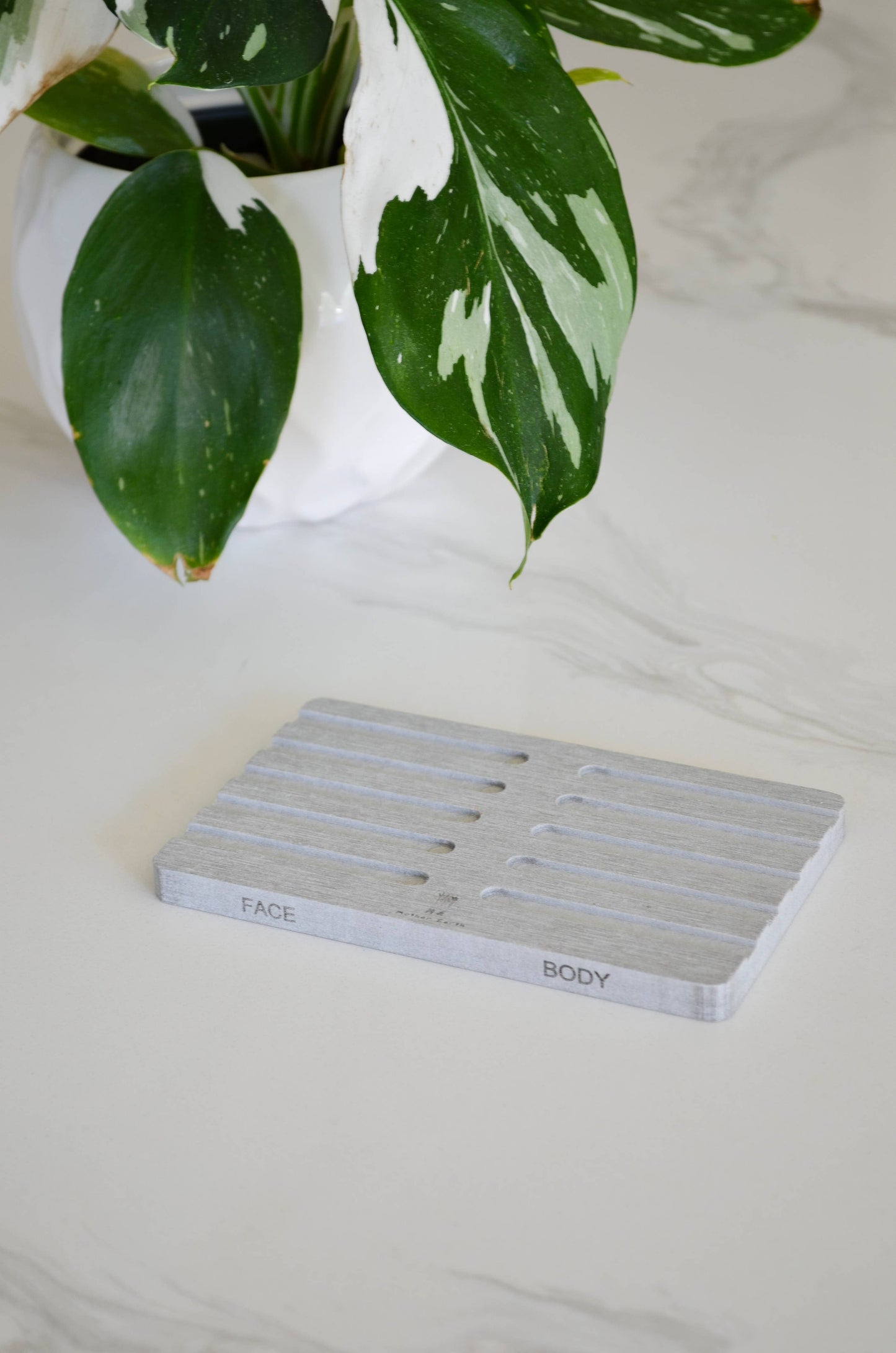 Diatomite Soap Dish