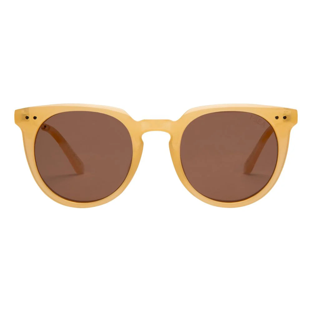Ella Polarized Lens
