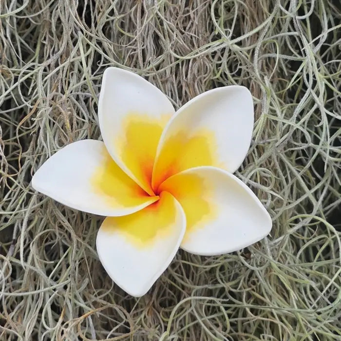 Large Plumeria Foam Pua