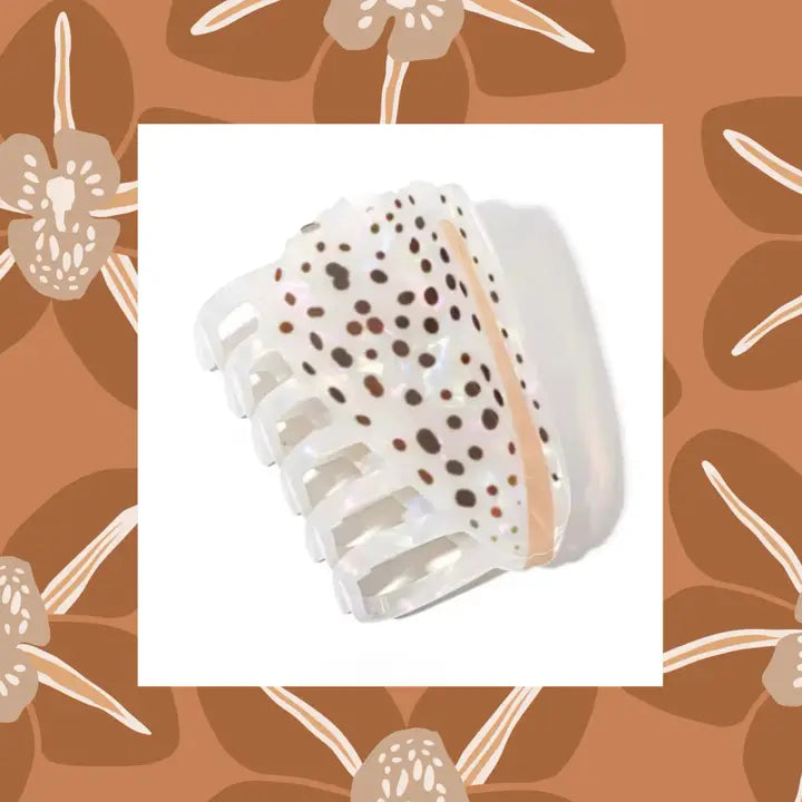Cone Shell Claw Clip
