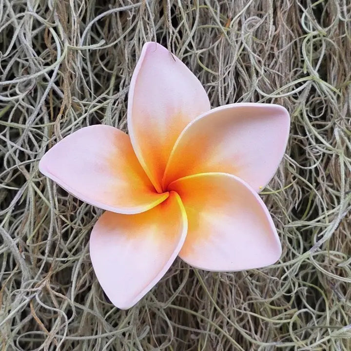Large Plumeria Foam Pua