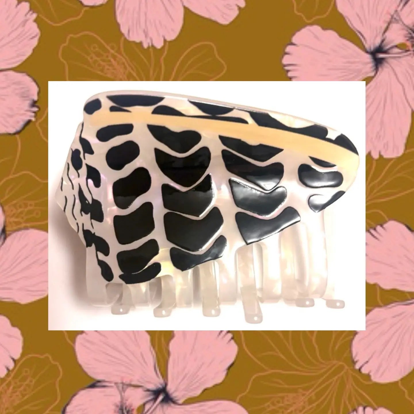 Hebrew Cone Shell Claw Clip