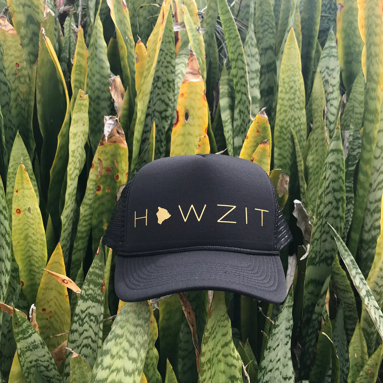 Trucker Hats