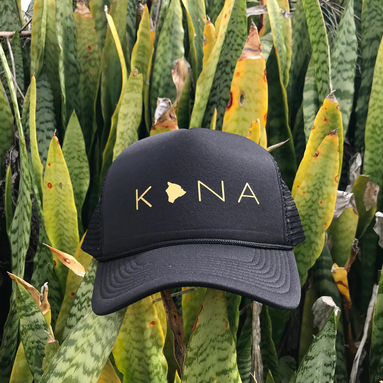 Trucker Hats