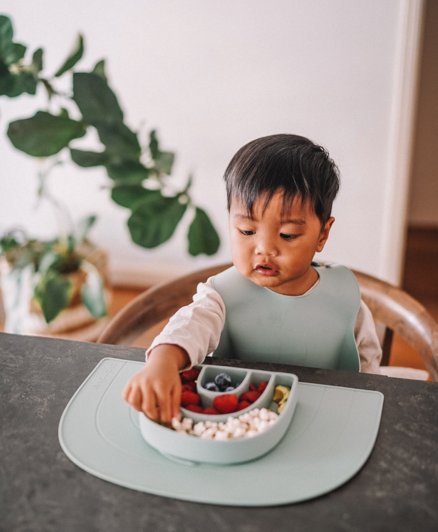 Rainbow Plate | Mint