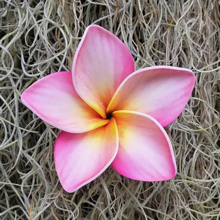 Large Plumeria Foam Pua