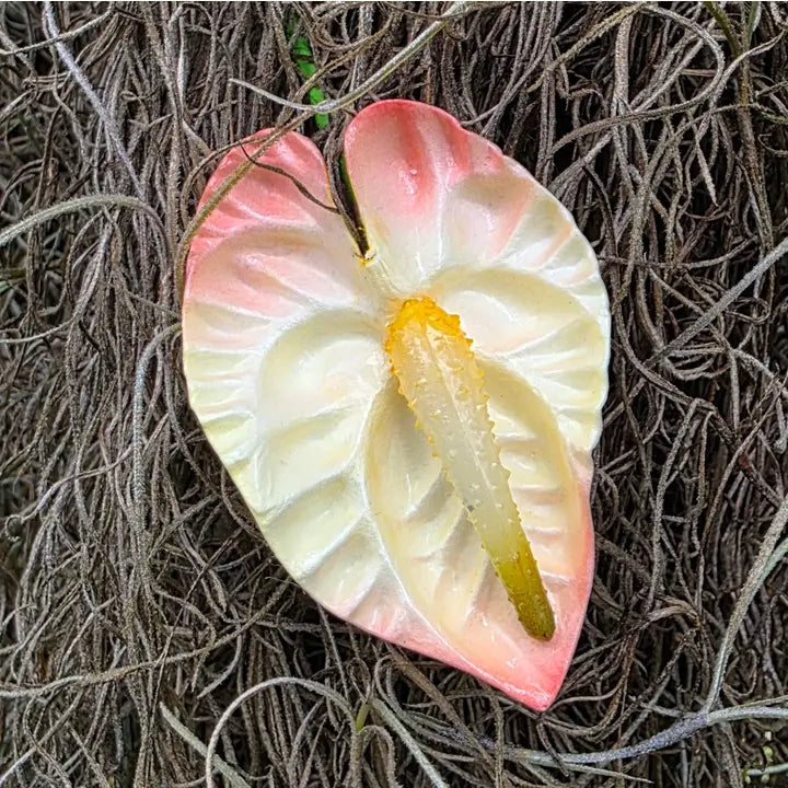 Small Anthurium Pua
